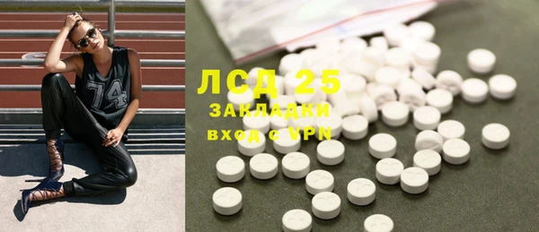 гидра Богородск