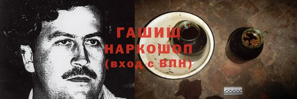 гидра Богородск