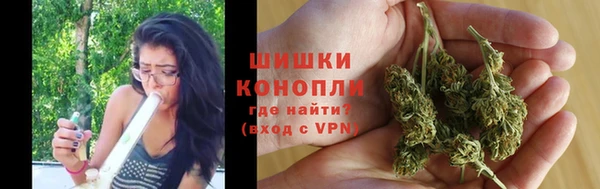 гидра Богородск