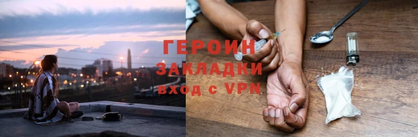 гидра Богородск