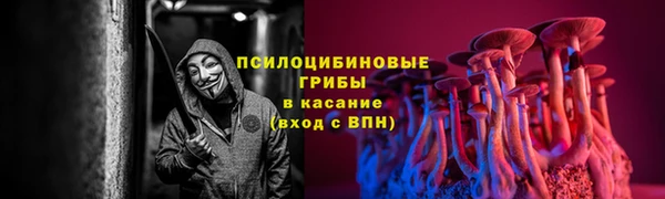 гидра Богородск
