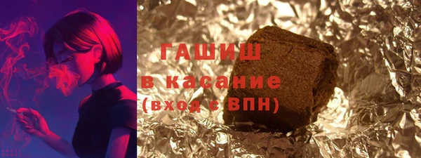 гидра Богородск