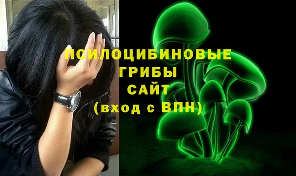 ГАЛЛЮЦИНОГЕННЫЕ ГРИБЫ Гусь-Хрустальный