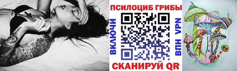 OMG ссылка  Томмот  Галлюциногенные грибы Psilocybine cubensis 